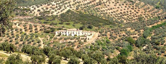 desde Huerta oliva