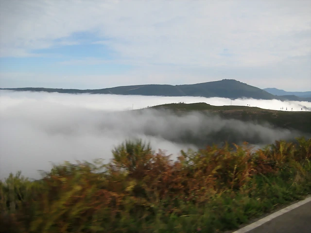 IMG_0371 IMG_0371