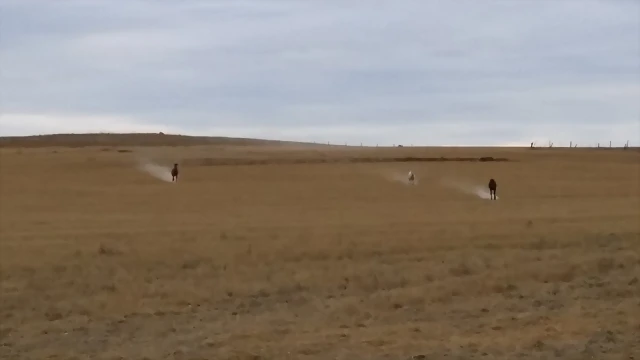 20150815_204822 20150815_204822
