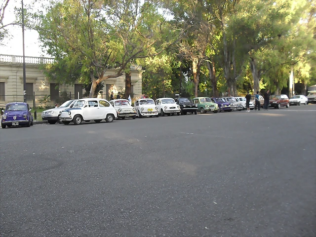 SDC12239 SDC12239