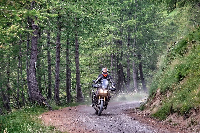 30mps-bmw-bosque-alpes 30mps-bmw-bosque-alpes