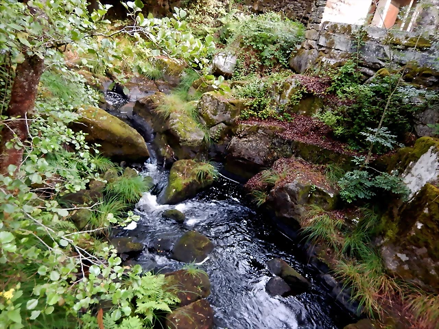 DSCN8422 DSCN8422
