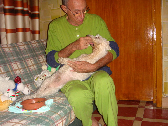 Hay que comer con abuelo 09.10.11