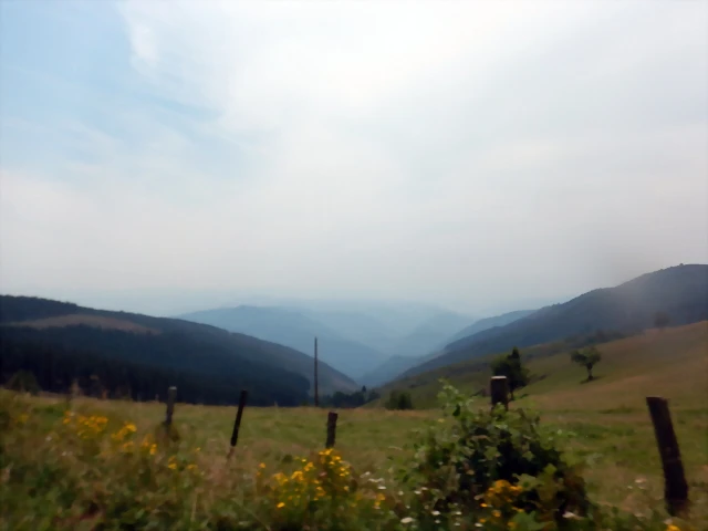 DSCN8542 DSCN8542