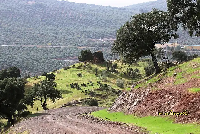 07, el caracol, marca