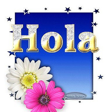Hola.Flores Hola.Flores
