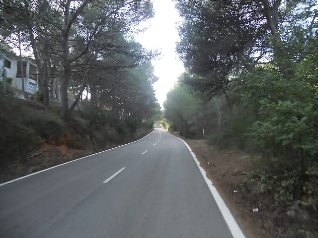 DSCN1696 DSCN1696