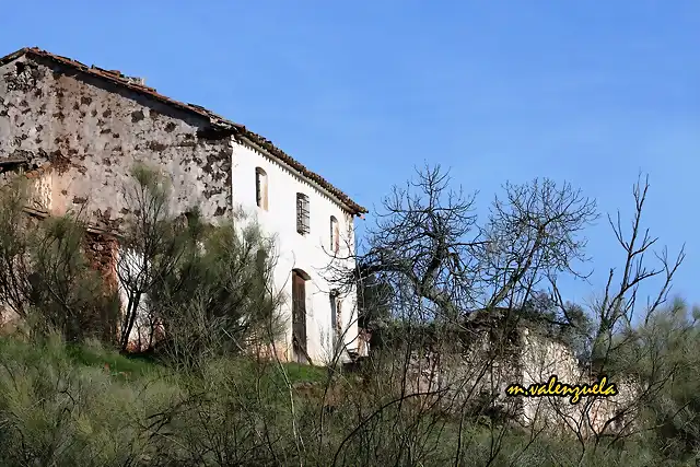 02, el invierno en su fachada, marca