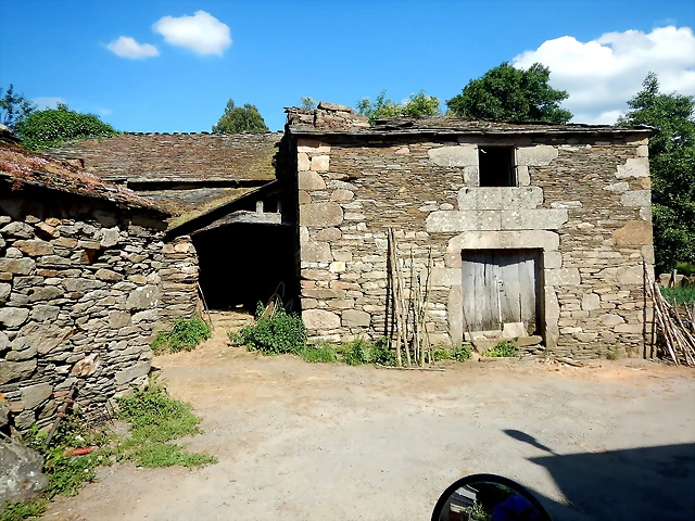 DSCN6616