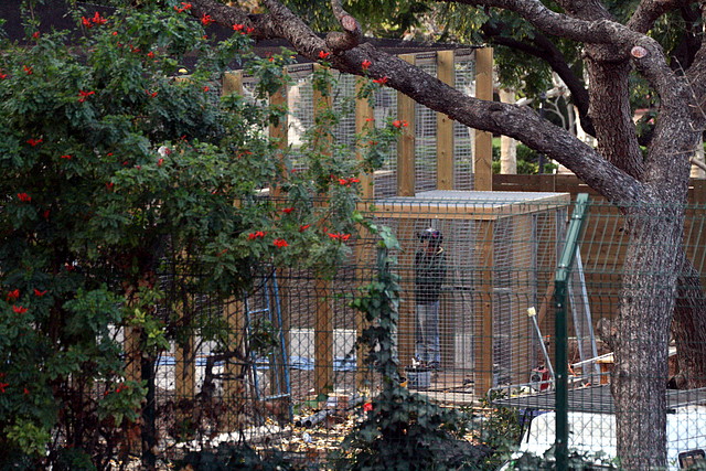 Zoo de Barcelona 01-12-2010 160 Zoo de Barcelona 01-12-2010 160