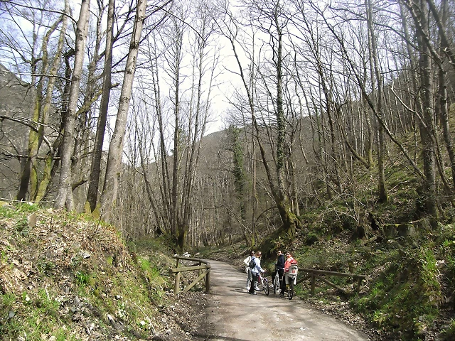 R0012376 R0012376