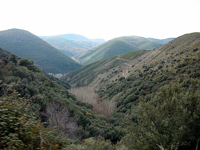 DSCN9494 DSCN9494