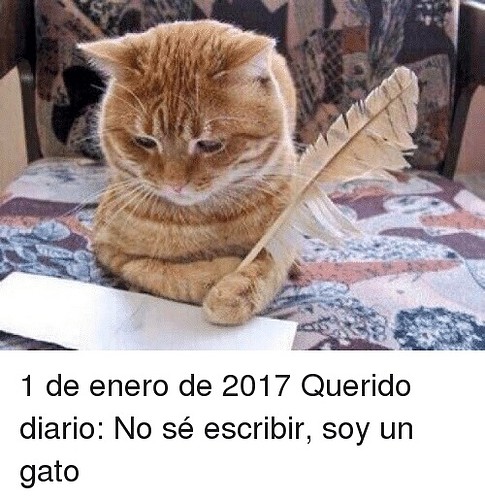 1-de-enero-de-2017-querido-diario-no-s?-escribir-10297149