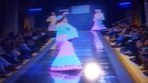 Pasarela 12-2-2015 (5) Pasarela 12-2-2015 (5)