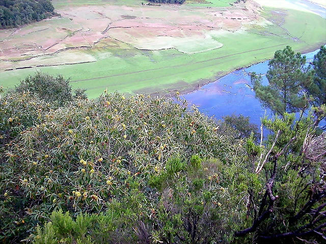DSCN5538 DSCN5538