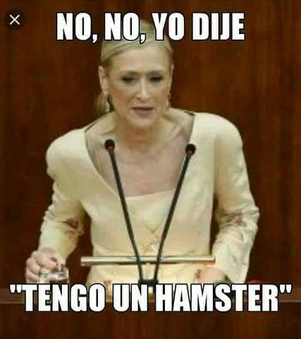 MemesCifuentes2018-3