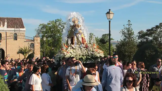 07,  la virgen, marca