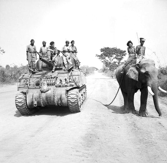 4-A Sherman tank of the 9th Royal Deccan Horse encounters a newly liberated elephant on the road to Meiktila in Burma, 29 March 1945. Pinterest