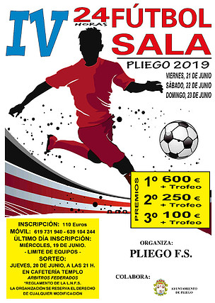 Pliego242019-1