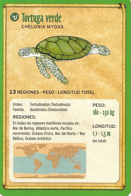 tortuga verde