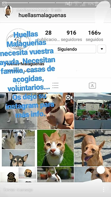 Mar?a IG Stories 20-5-2017 (2) Mar?a IG Stories 20-5-2017 (2)