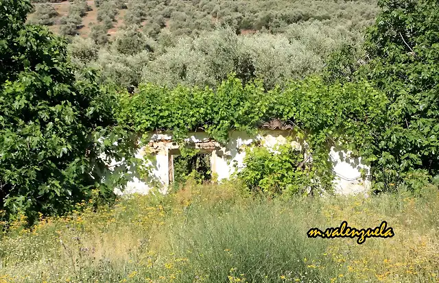 11, cortijo abandonado en ruinas, marca