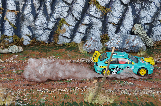 DSC_0691 DSC_0691