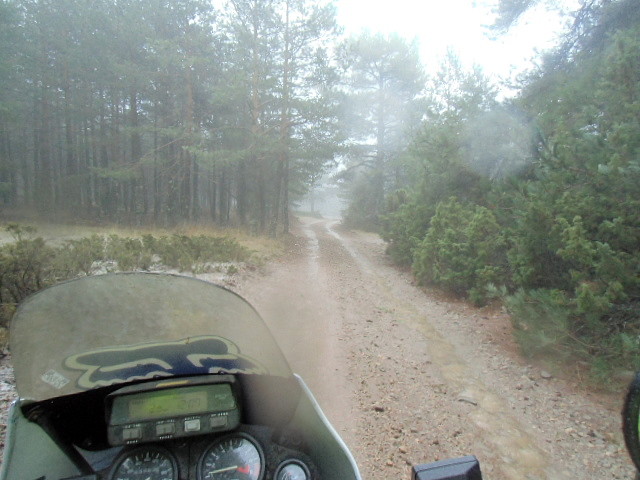 CIMG0748 CIMG0748