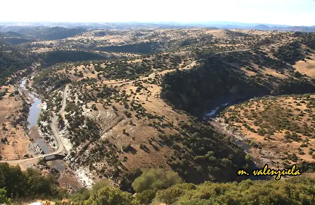 07, el gorgoritn, marca