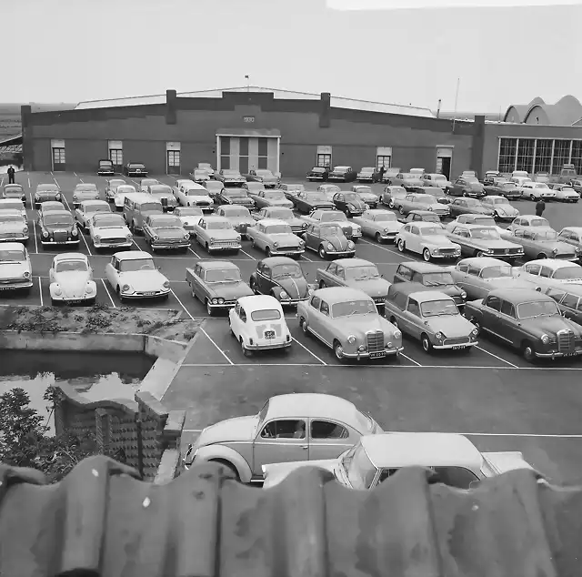 Bovenkarspel - Niederlande, Ortsteil Stede Broec , Blumenzwiebel Auktion, 1965,