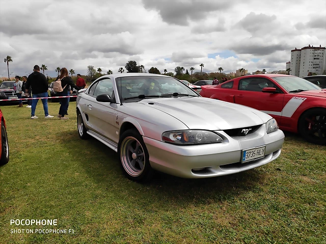 IMG_20190406_135313 IMG_20190406_135313