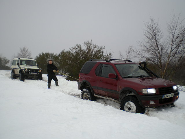 nieve