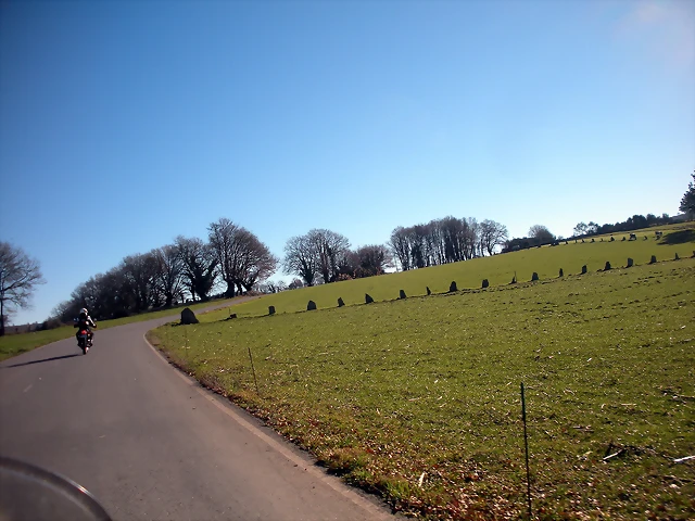 DSCN2246 DSCN2246