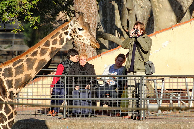 Zoo de Barcelona 03-01-12 162 Zoo de Barcelona 03-01-12 162