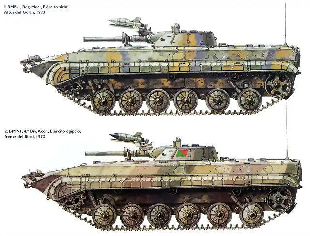 BMP-1lamina A (2)