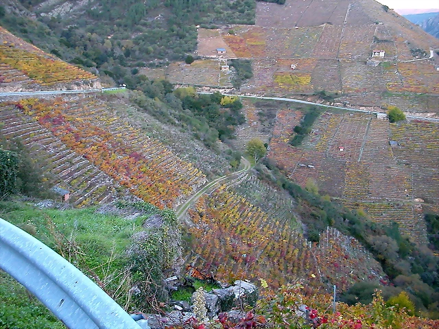 DSCN6563 DSCN6563