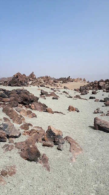 20180804_175315 20180804_175315