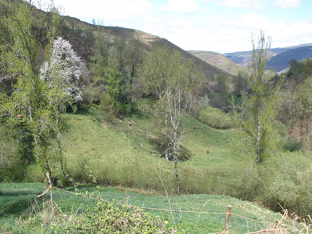 P4100130