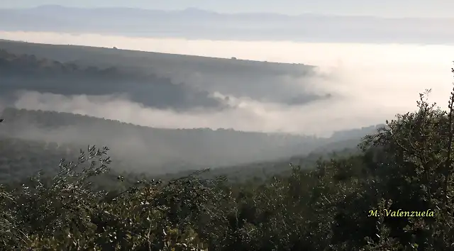 02, niebla en las caadas 2, marca