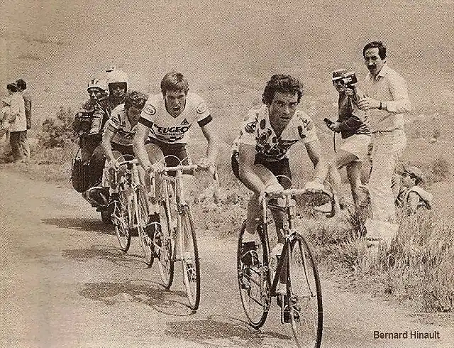 TOUR 1981-HINAULT-ANDERSON