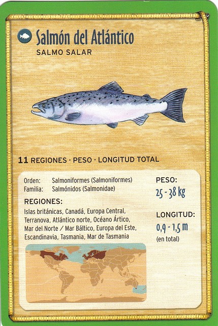 salmon del atlantico
