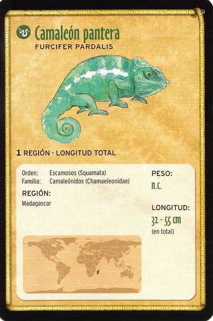 camaleon pantera