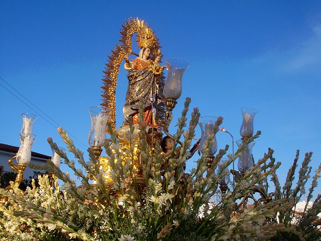 Virgen del Rosario 2008