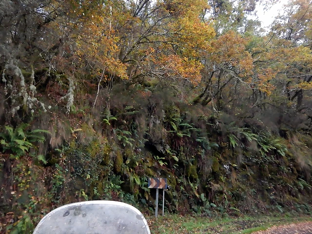 DSCN0630 DSCN0630
