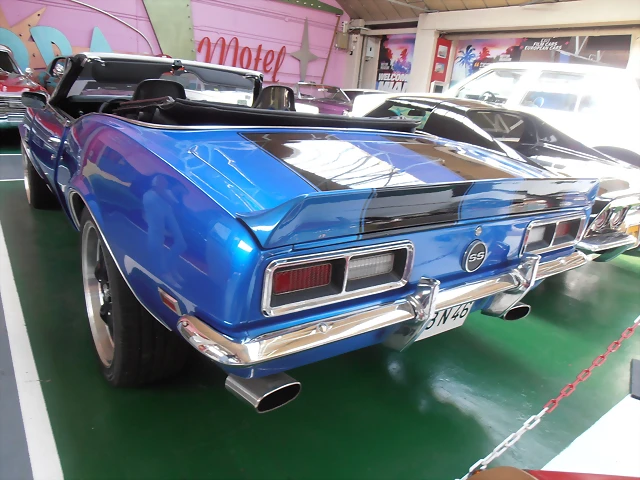 P7250511 P7250511