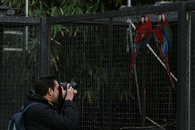 Zoo de Barcelona 27-11-2010 1165 Zoo de Barcelona 27-11-2010 1165