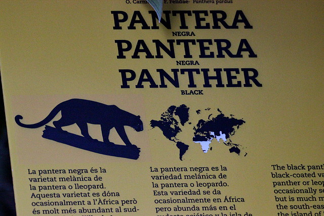 Zoo Barcelona 23-11-11 i 25-11-11 602 Zoo Barcelona 23-11-11 i 25-11-11 602