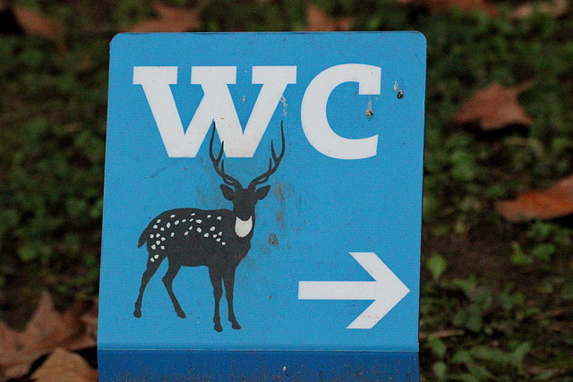 Zoo Barcelona 23-11-11 i 25-11-11 621 Zoo Barcelona 23-11-11 i 25-11-11 621