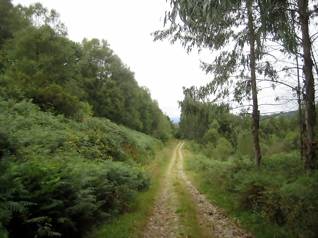 IMG_0235 IMG_0235