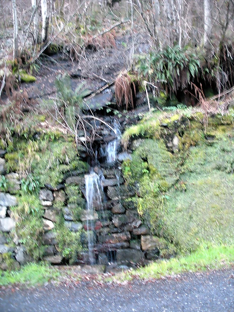 DSCN2428 DSCN2428